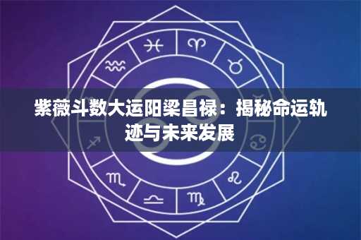 紫薇斗数大运阳梁昌禄：揭秘命运轨迹与未来发展