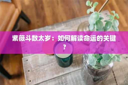 紫薇斗数太岁：如何解读命运的关键？