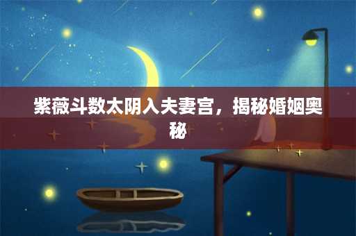 紫薇斗数太阴入夫妻宫，揭秘婚姻奥秘