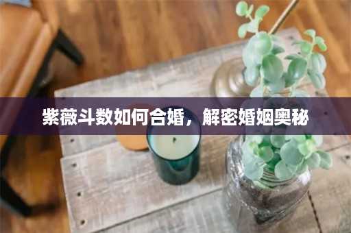 紫薇斗数如何合婚，解密婚姻奥秘