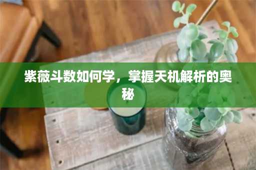 紫薇斗数如何学，掌握天机解析的奥秘