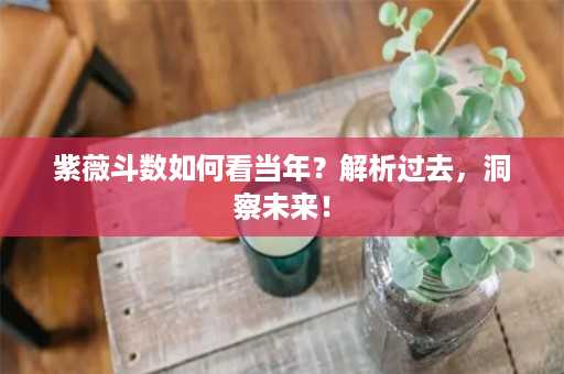 紫薇斗数如何看当年？解析过去，洞察未来！