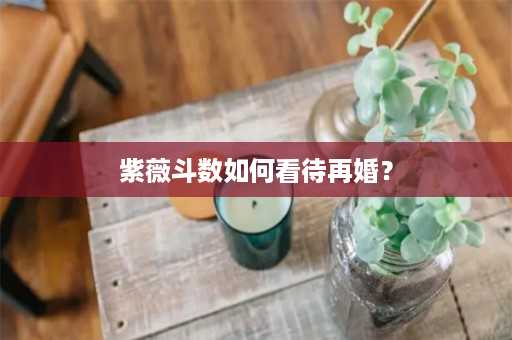 紫薇斗数如何看待再婚？