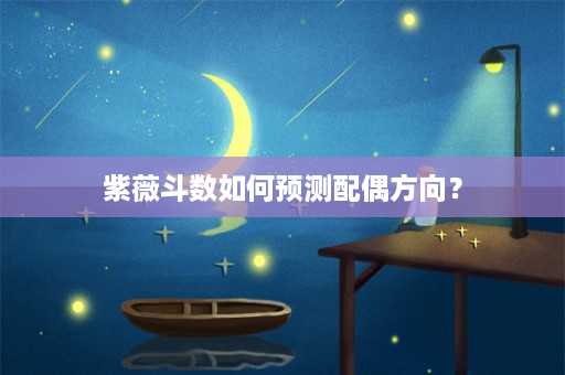 紫薇斗数如何预测配偶方向？