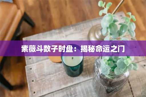 紫薇斗数子时盘：揭秘命运之门