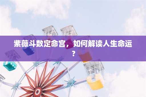 紫薇斗数定命宫，如何解读人生命运？