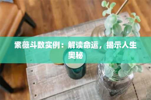 紫薇斗数实例：解读命运，揭示人生奥秘