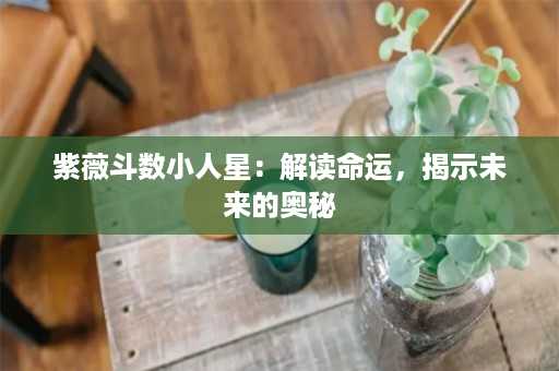 紫薇斗数小人星：解读命运，揭示未来的奥秘