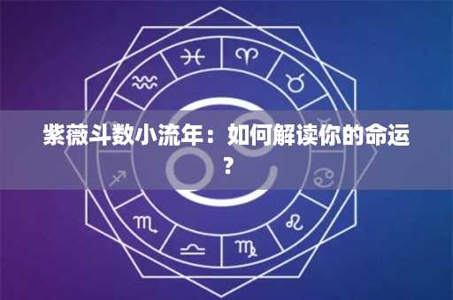 紫薇斗数小流年：如何解读你的命运？