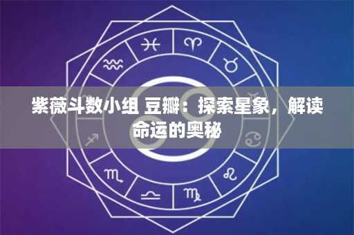 紫薇斗数小组 豆瓣：探索星象，解读命运的奥秘