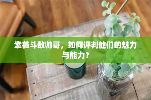 紫薇斗数帅哥，如何评判他们的魅力与能力？