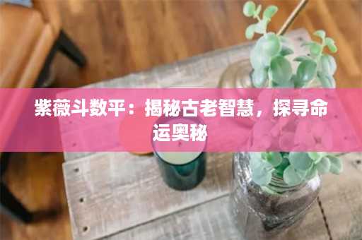 紫薇斗数平：揭秘古老智慧，探寻命运奥秘