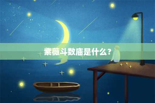 紫薇斗数庙是什么？