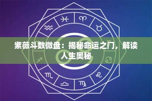 紫薇斗数微盘：揭秘命运之门，解读人生奥秘