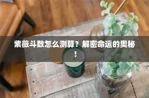 紫薇斗数怎么测算？解密命运的奥秘！