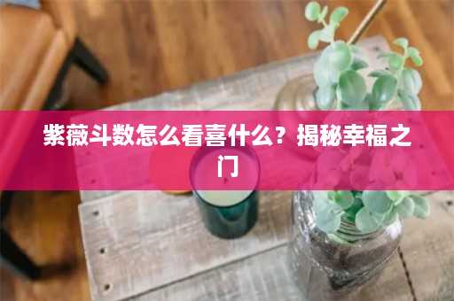 紫薇斗数怎么看喜什么？揭秘幸福之门