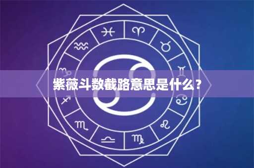 紫薇斗数截路意思是什么？