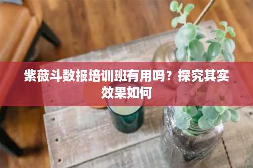 紫薇斗数报培训班有用吗？探究其实效果如何