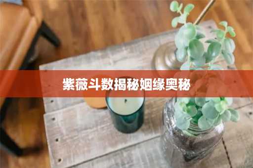 紫薇斗数揭秘姻缘奥秘