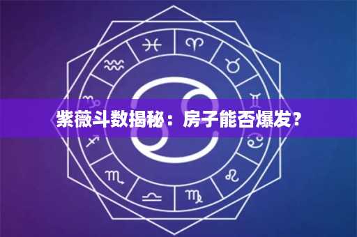 紫薇斗数揭秘：房子能否爆发？