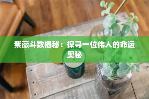 紫薇斗数揭秘：探寻一位伟人的命运奥秘