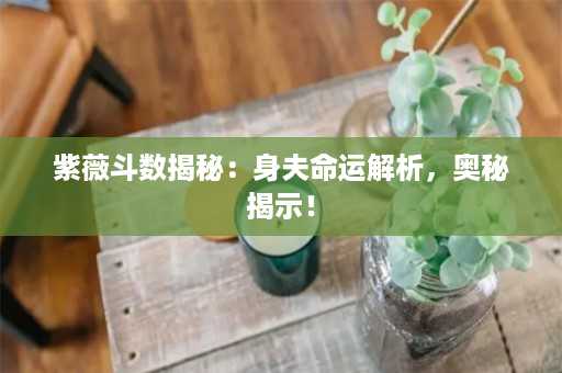 紫薇斗数揭秘：身夫命运解析，奥秘揭示！