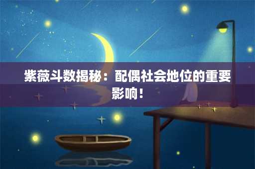 紫薇斗数揭秘：配偶社会地位的重要影响！