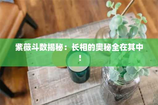 紫薇斗数揭秘：长相的奥秘全在其中！