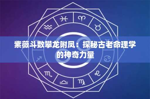 紫薇斗数攀龙附凤：探秘古老命理学的神奇力量