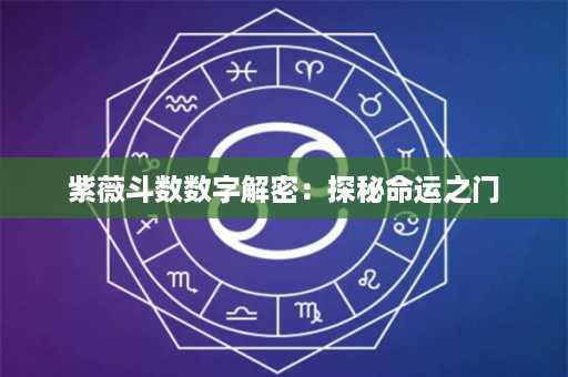 紫薇斗数数字解密：探秘命运之门