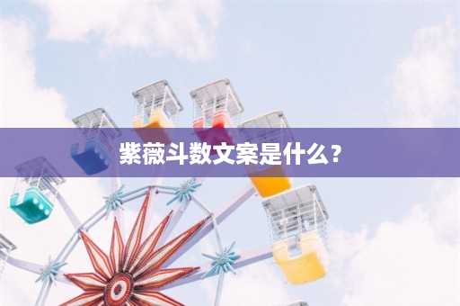 紫薇斗数文案是什么？