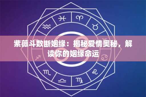 紫薇斗数断姻缘：揭秘爱情奥秘，解读你的姻缘命运