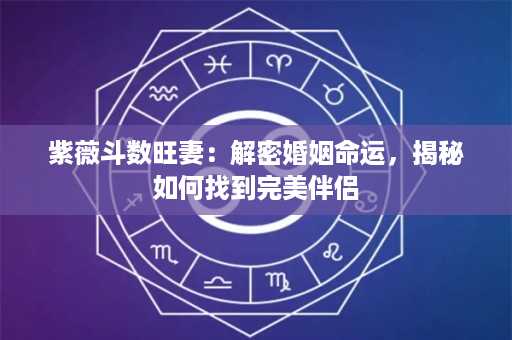 紫薇斗数旺妻：解密婚姻命运，揭秘如何找到完美伴侣