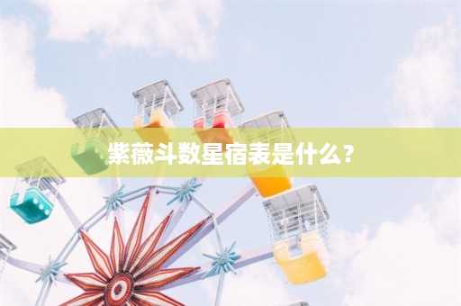 紫薇斗数星宿表是什么？