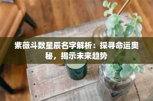 紫薇斗数星辰名字解析：探寻命运奥秘，揭示未来趋势