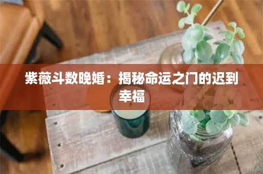 紫薇斗数晚婚：揭秘命运之门的迟到幸福