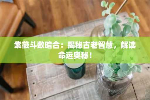 紫薇斗数暗合：揭秘古老智慧，解读命运奥秘！