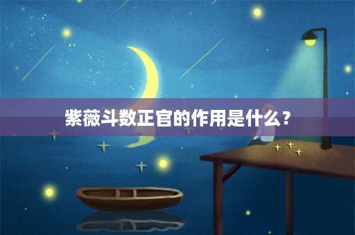 紫薇斗数正官的作用是什么？