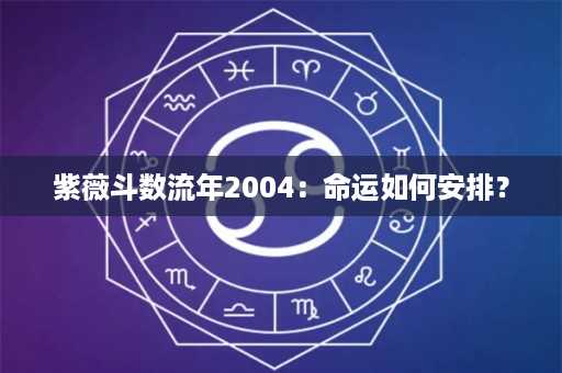 紫薇斗数流年2004：命运如何安排？