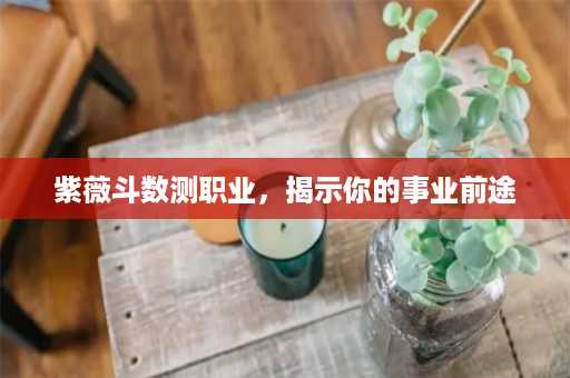 紫薇斗数测职业，揭示你的事业前途