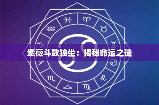 紫薇斗数独坐：揭秘命运之谜