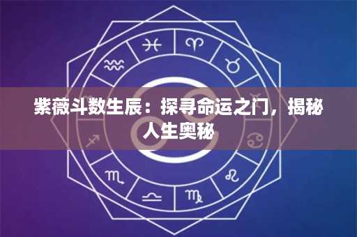 紫薇斗数生辰：探寻命运之门，揭秘人生奥秘