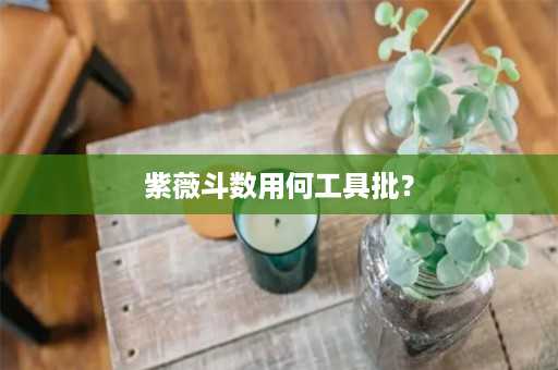 紫薇斗数用何工具批？