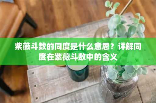 紫薇斗数的同度是什么意思？详解同度在紫薇斗数中的含义