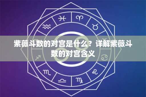 紫薇斗数的对宫是什么？详解紫薇斗数的对宫含义