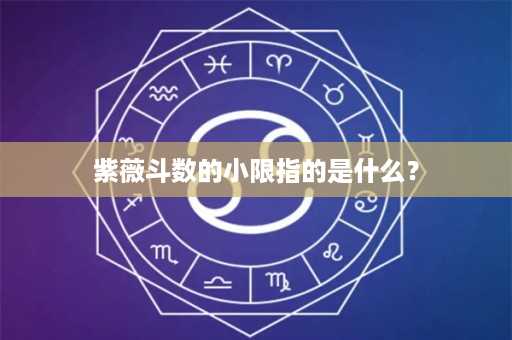 紫薇斗数的小限指的是什么？