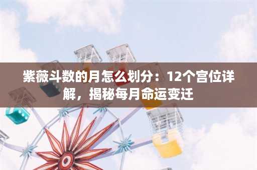 紫薇斗数的月怎么划分：12个宫位详解，揭秘每月命运变迁