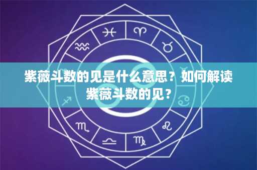 紫薇斗数的见是什么意思？如何解读紫薇斗数的见？