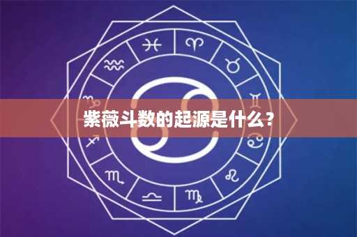 紫薇斗数的起源是什么？