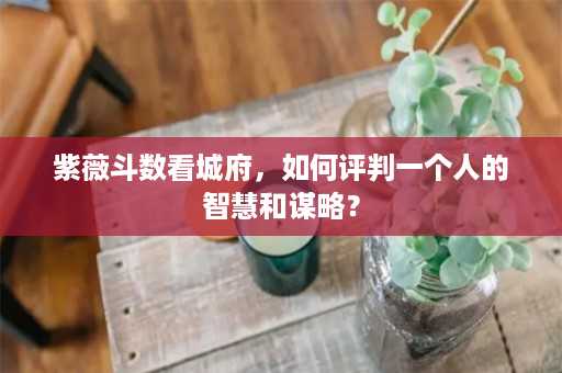 紫薇斗数看城府，如何评判一个人的智慧和谋略？